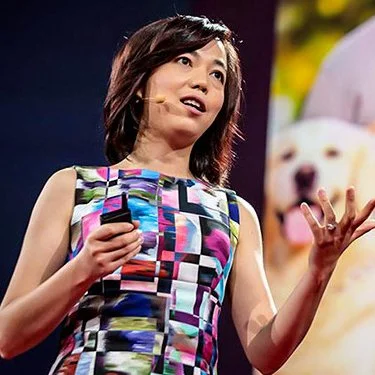 Dr. Fei Fei Li