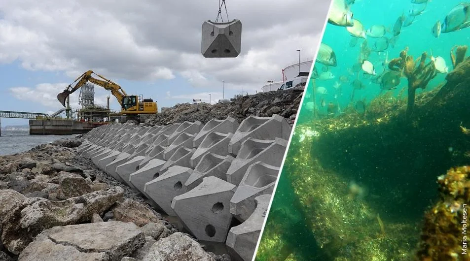 ECOncrete Secures $14M Funding Round to Scale Marine Construction Materials