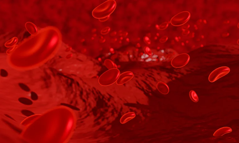 Blocking TIE2 Protein May Prevent Blood Vessel Defects in the Brain