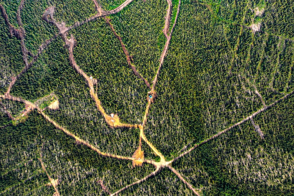 Banyan Defines Deeper Airstrip Gold