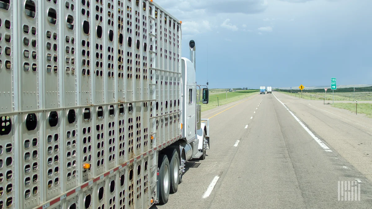 BulkLoads expands ag freight footprint with Livestock Network acquisition