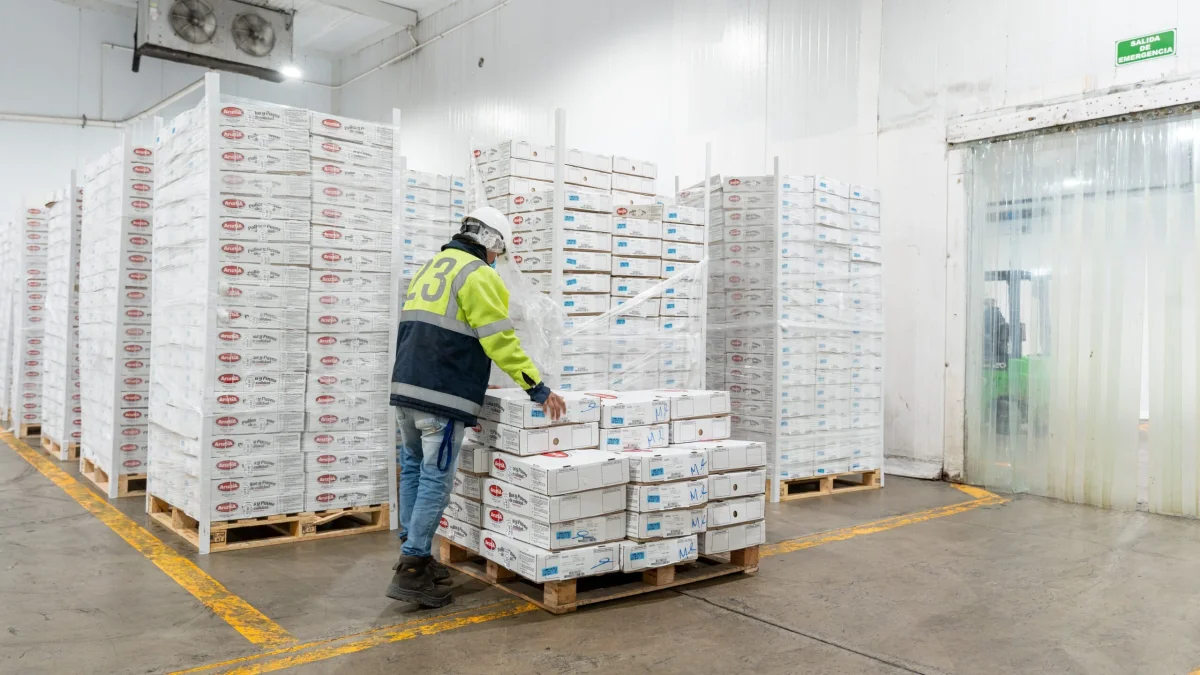 Cold Storage Trough in Sight as Vacancies Hit 20-Year High