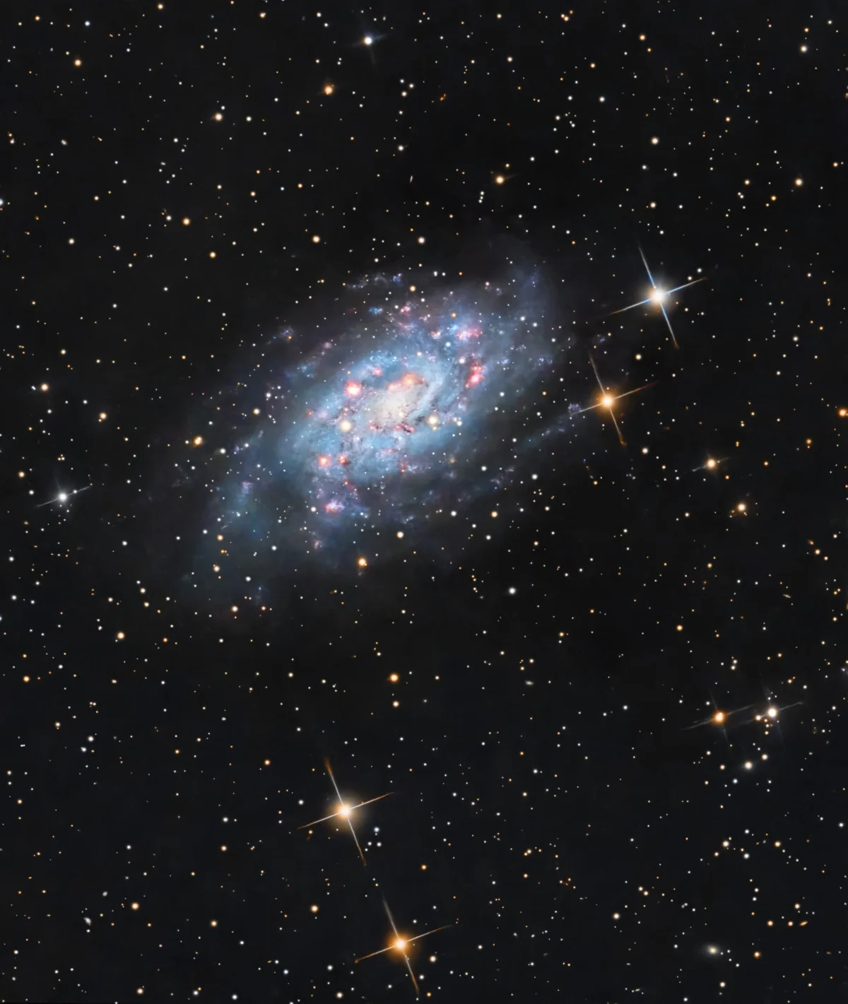 A Triangulum Lookalike
