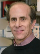 NIH Researchers Identify Four-Marker Blood Test That May Improve Early Pancreatic Cancer Detection