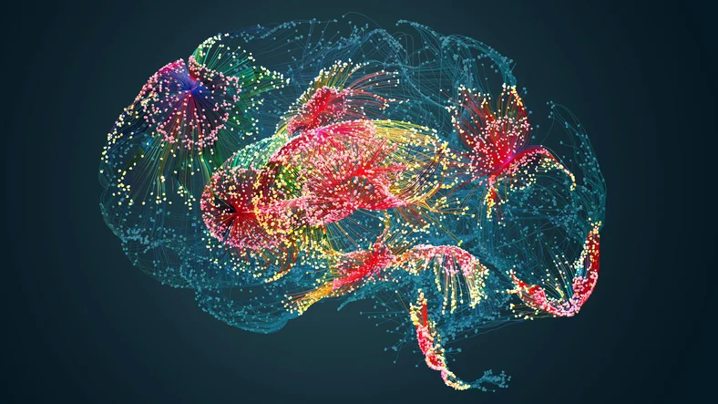 Brain Aneurysm Study Identifies Structural, Immune Markers of Rupture Risk
