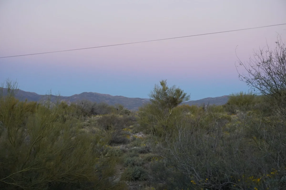Michael’s Miscellany: The Eclipsed Sky