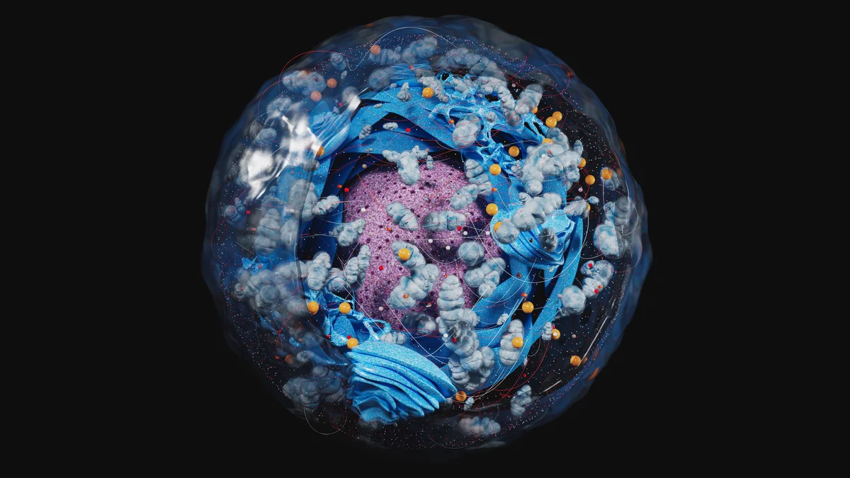 Origins of First Eukaryotes Linked to Contributions From Multiple Bacteria and Giant Viruses