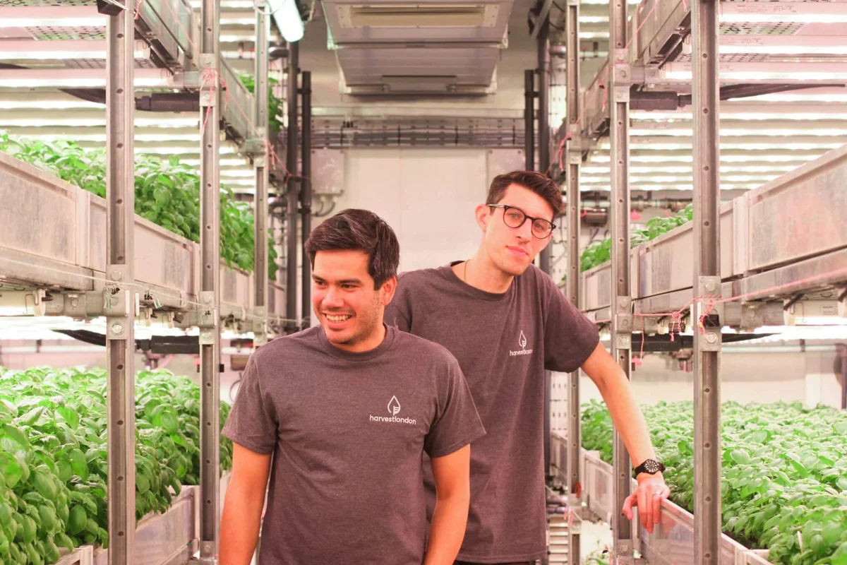 Harvest London Secures DEFRA ADOPT Funding for Ani Production Planning Platform
