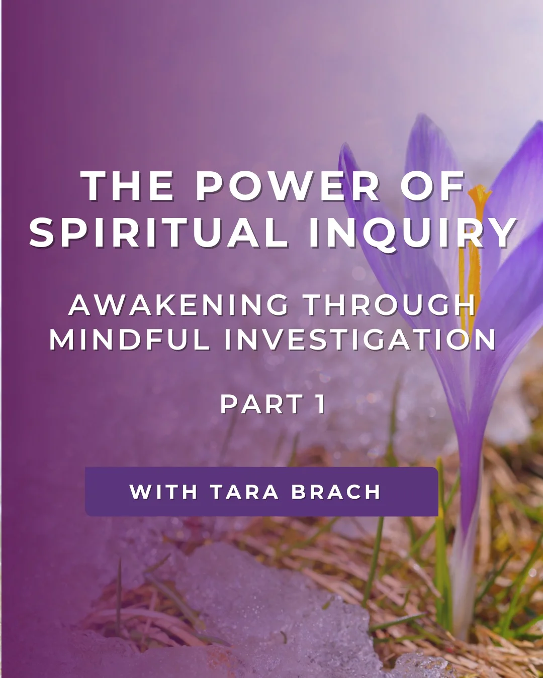 Sincere Questions Break Habitual Thought, Reveal True Awareness