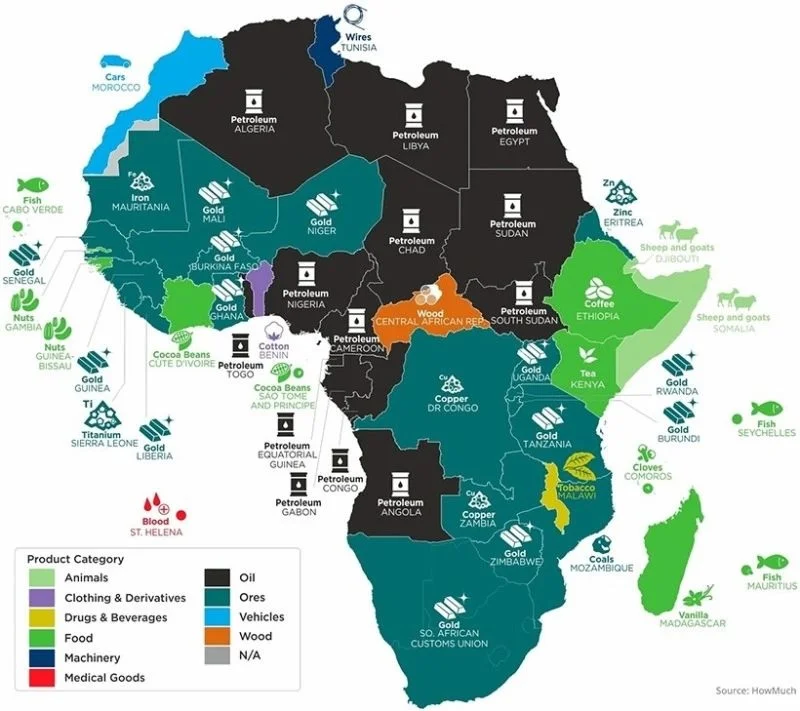 Africa's Riches Fuel Western Wealth, Not Local Prosperity