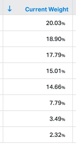 Concentrated Portfolio: Current Holdings Outshine New Ideas