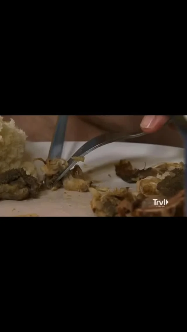 Reflecting on Bizarre Foods' Lasting Cultural Impact