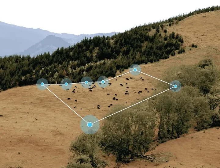 AI Cow Collars Create Virtual Fences, $2B Valuation