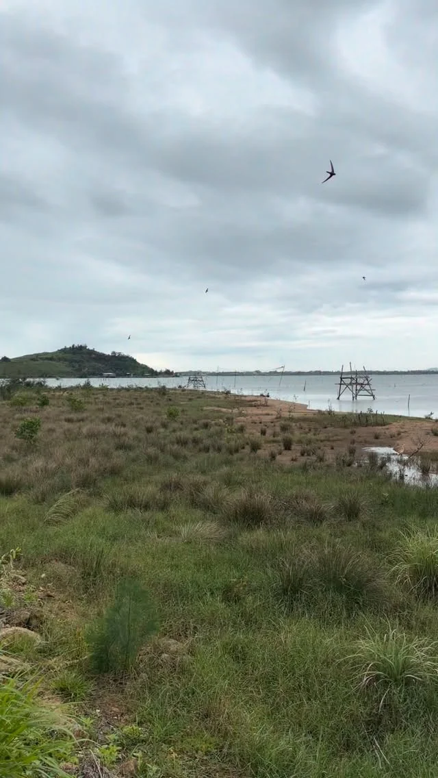 Vietnam’s Blue Food: Incredible Oyster Farm Near Hue