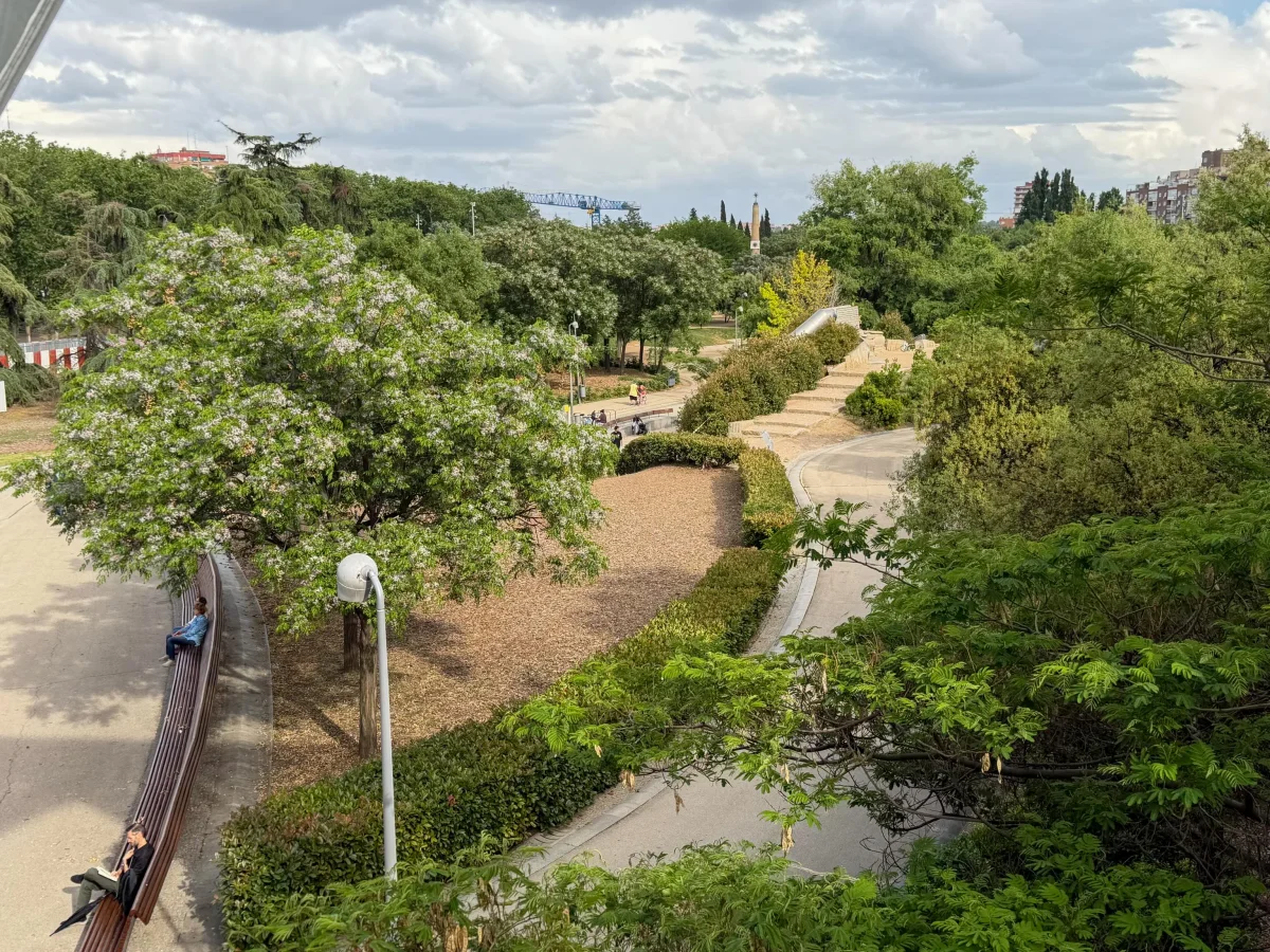 Rewilded Highway Shows Nature Can Replace Traffic