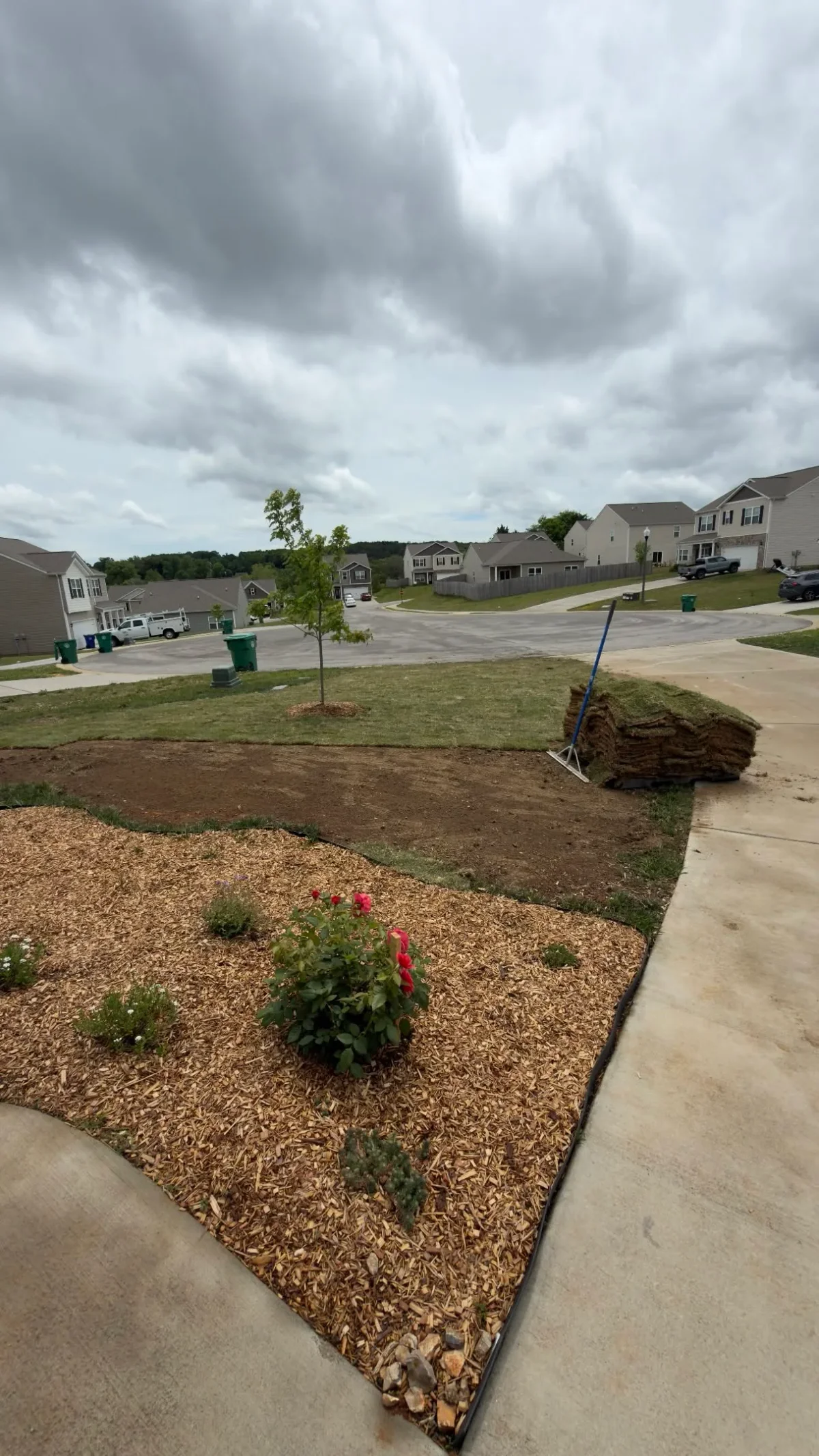 Misjudged Yard Size, Left with Sod Surplus and Sore Back