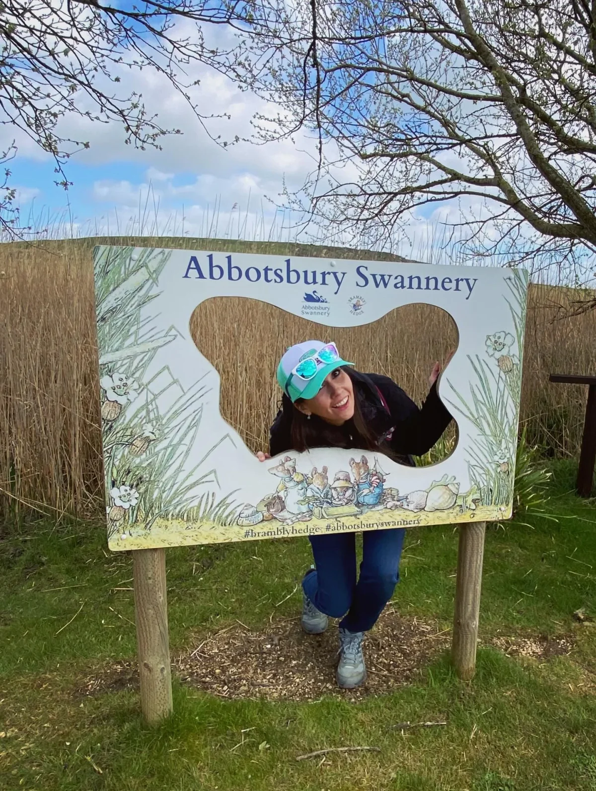 Feeding Swans at Abbotsbury Swannery: A Perfect Day