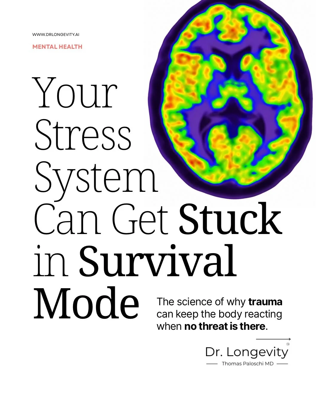 Know Trauma’s Biology, Stop Self‑Blame, Start Healing