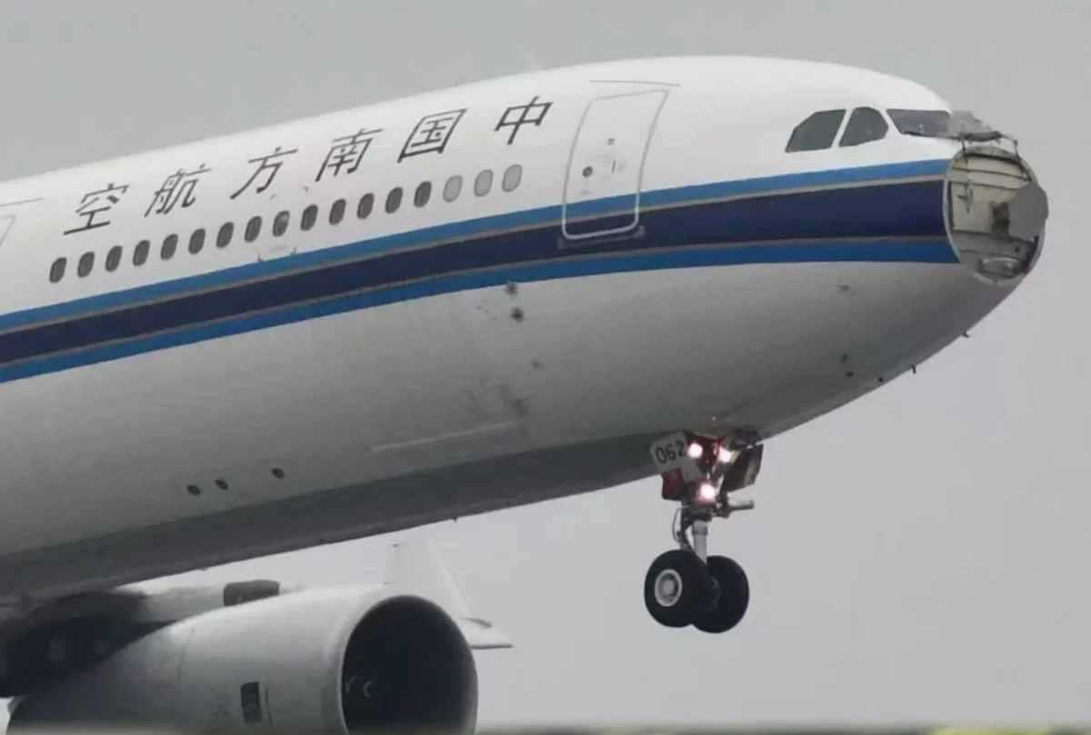 Bird Strike Tears Radome Off, Plane Lands Safely