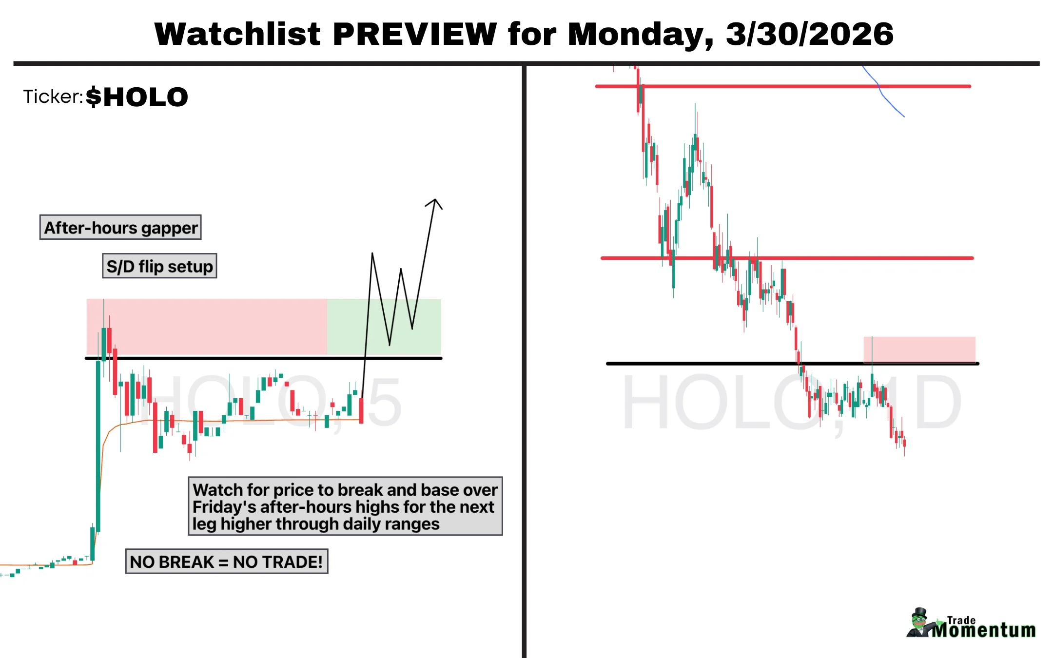 HOLO FY25 Revenue Jumps 39%, Eyes Breakout