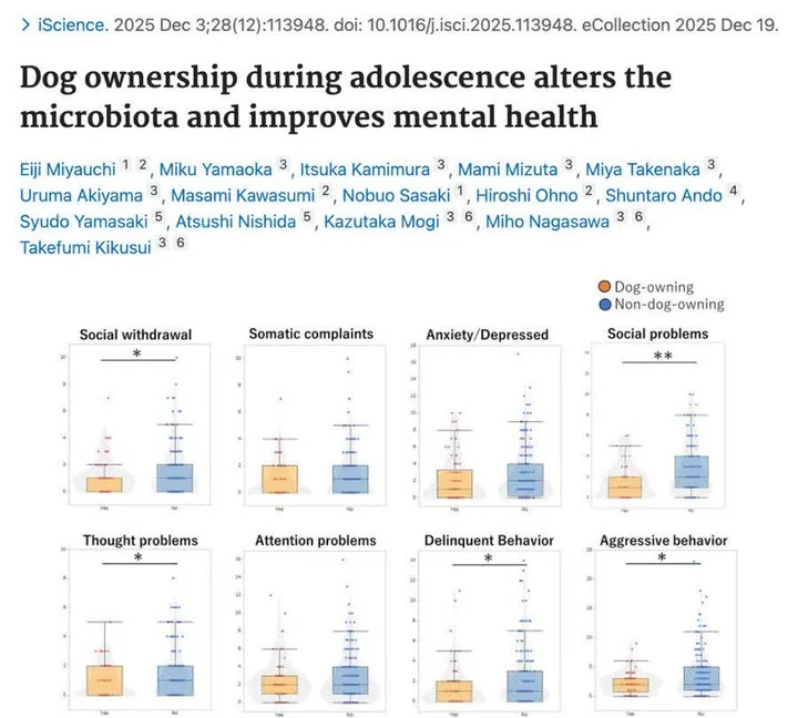 Teens with Dogs Show Better Mental Health, Fewer Issues