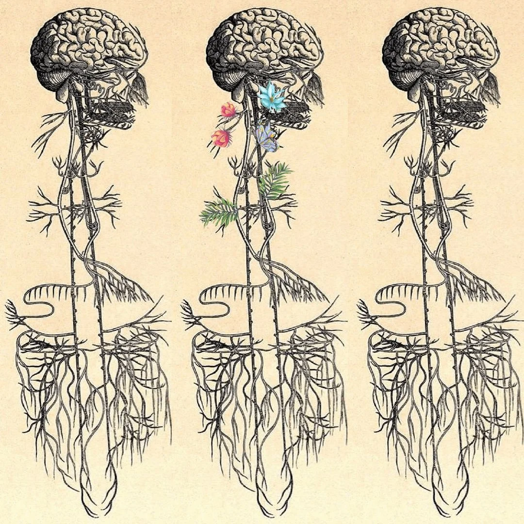 Reconnecting Body Awareness Boosts Sleep and Healing