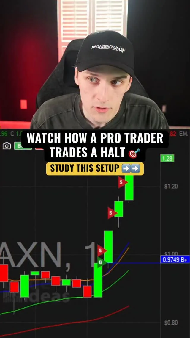Watch a Pro Trader Master Trading Hal
