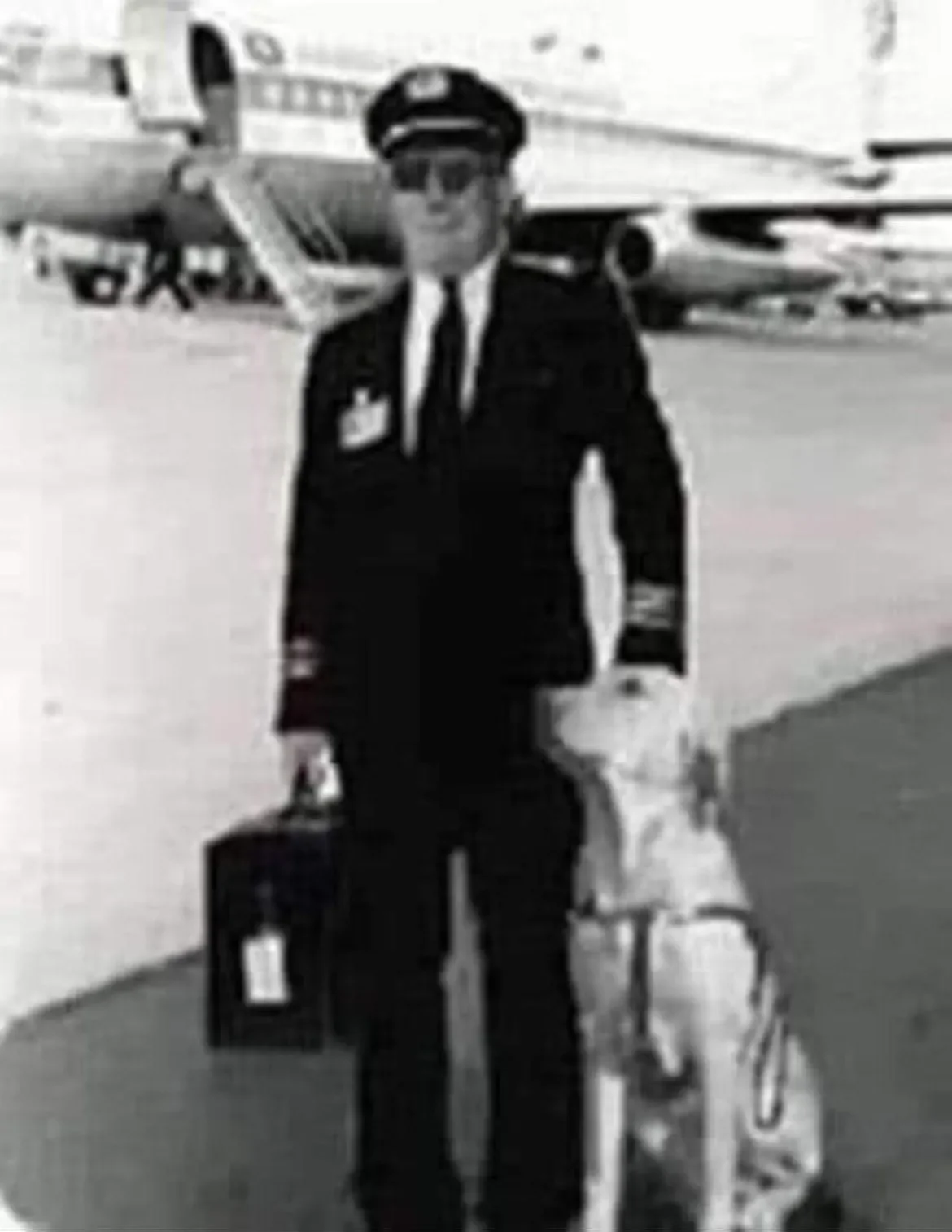 Even Guide Dogs Need a Layover Break
