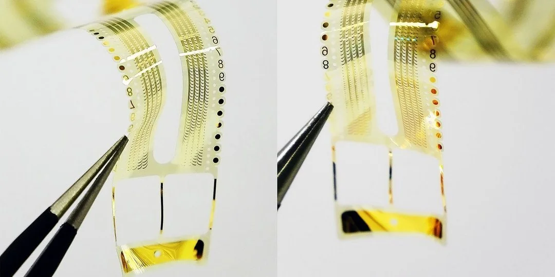 Scientists Map Light Cues for Optic Nerve Regeneration