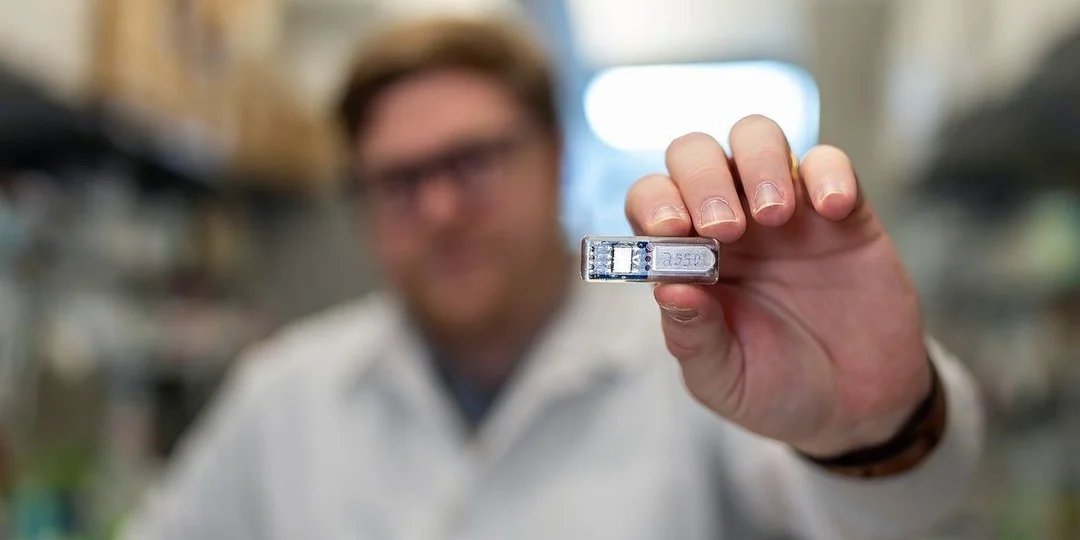 Implant Keeps Drug‑Producing Cells Alive for a Month