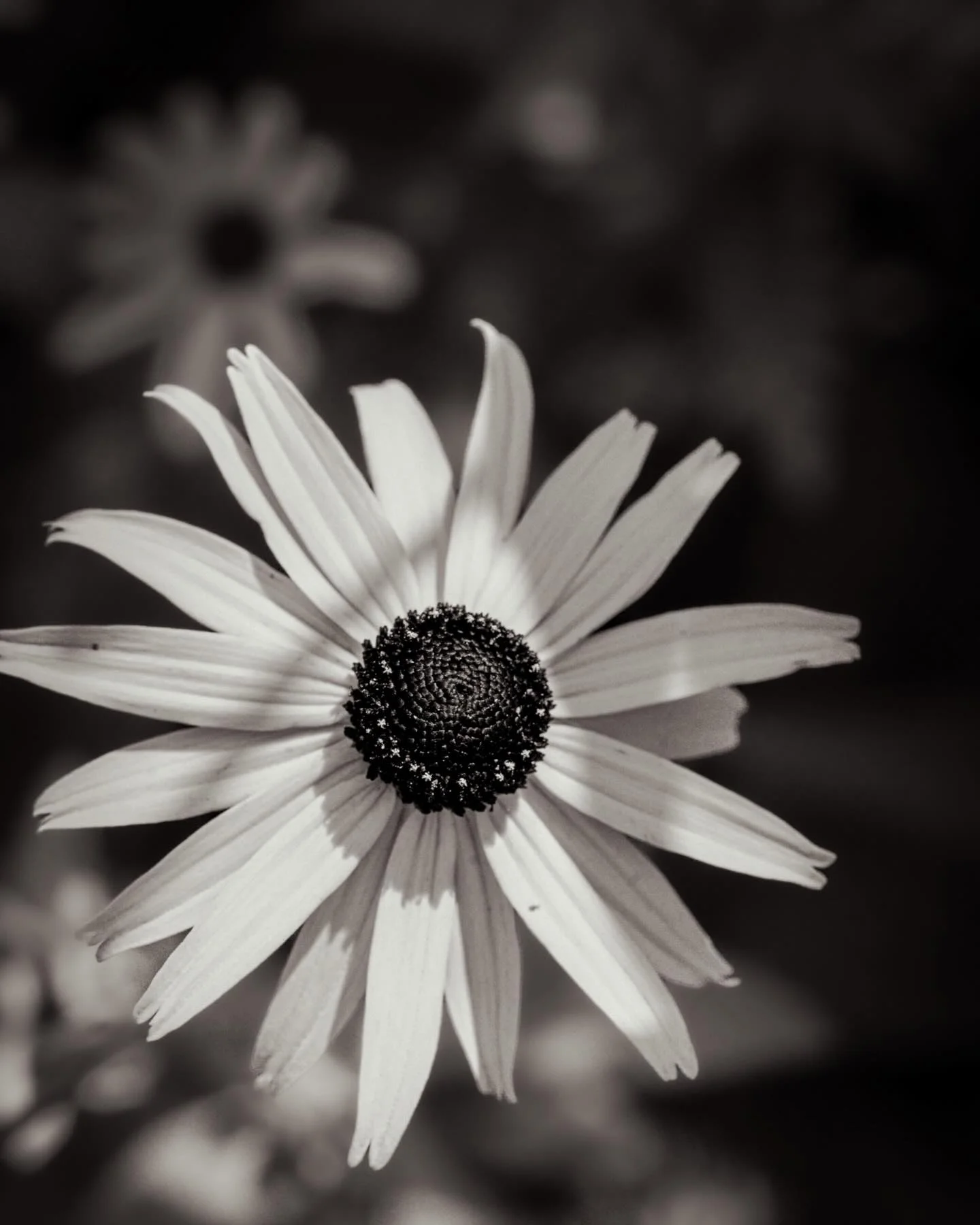 Native Species Signal Ecosystem Health and Systemic Integrity