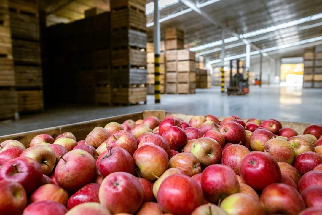 Zero‑tariff Apples Land in Shenzhen, Boosting SA‑China Trade
