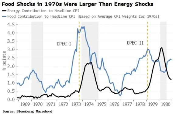 1970s Food Shocks Outpaced Energy Crises, Says White