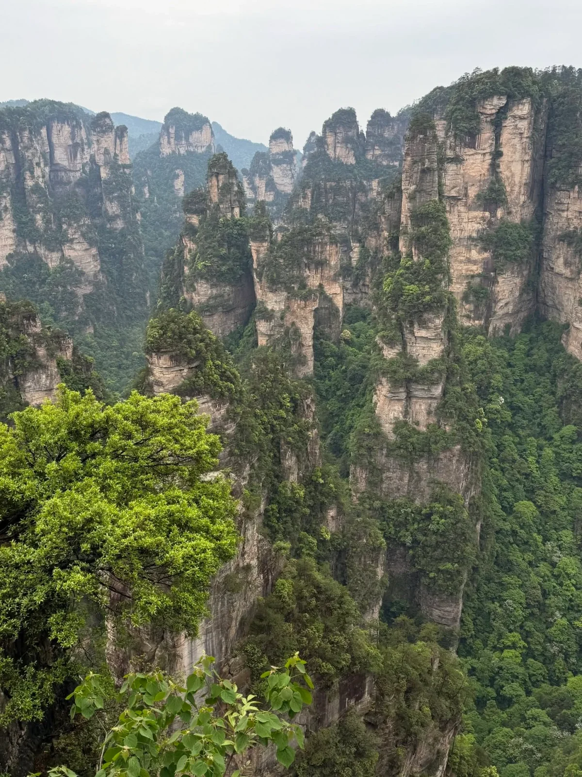 Avatar Mountains Trek Drains Apple Watch to 1%