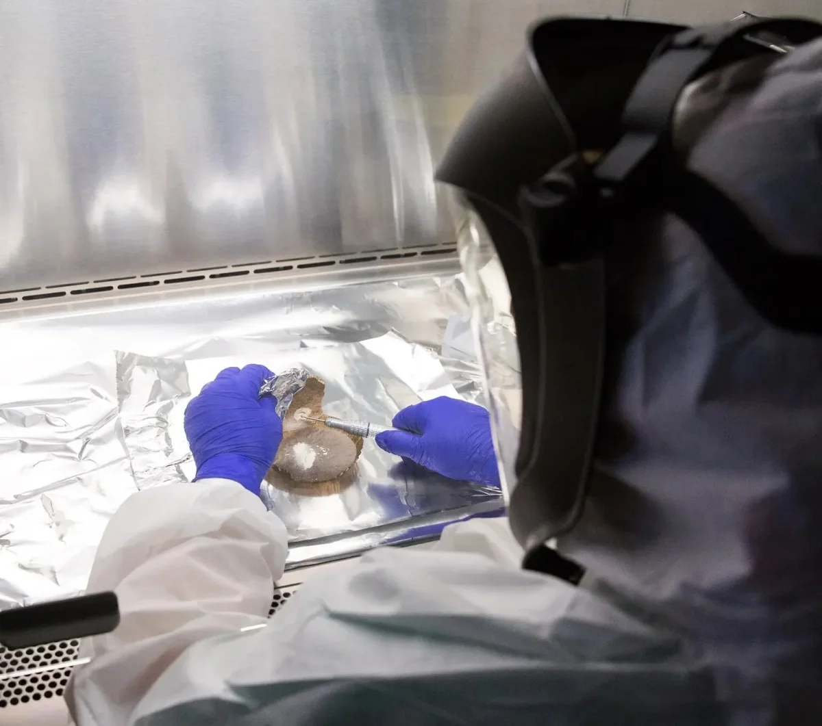 Study Suggests Thousands of Human Genes Under Recent Selection