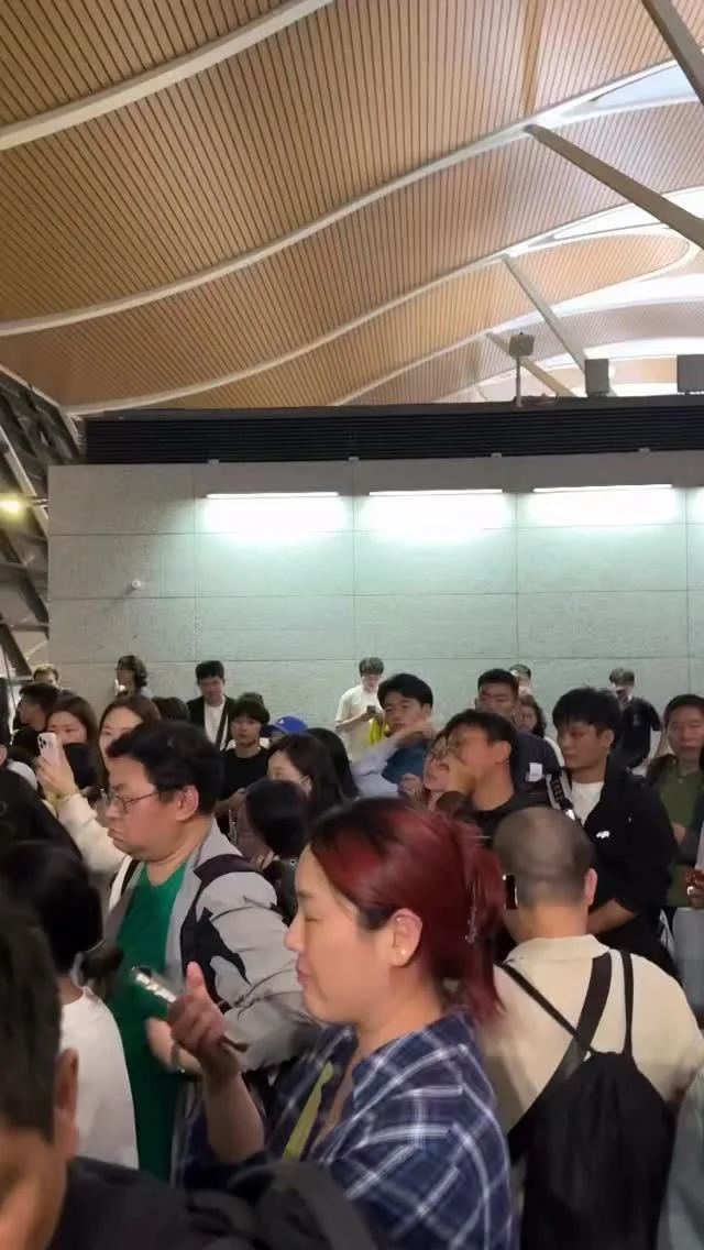 Third‑party Handlers, Not Airlines, Cause Delay Chaos