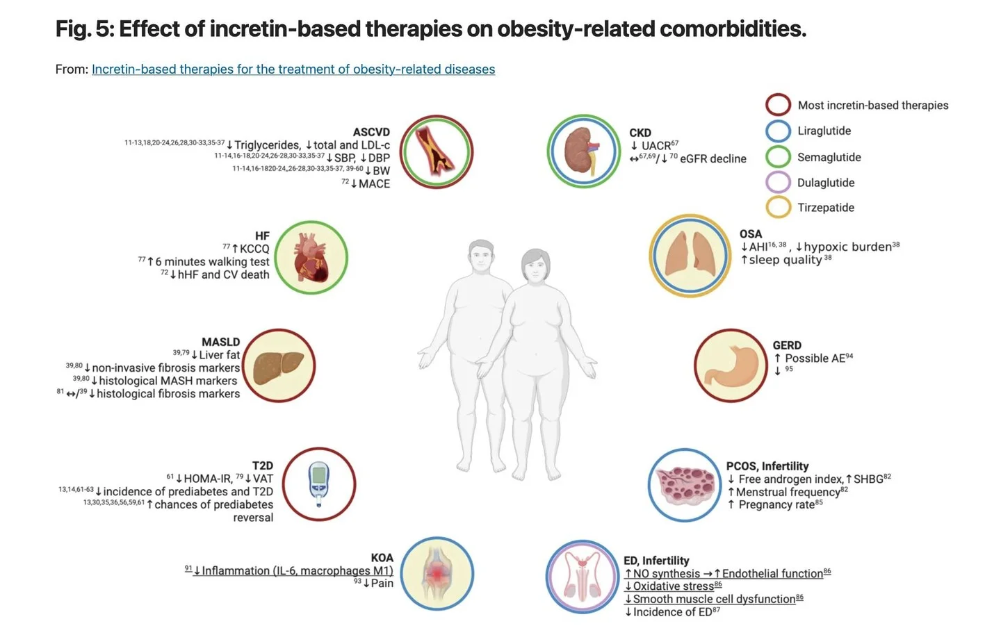 GLP‑1 Therapies Improve Metabolism Beyond Weight Loss