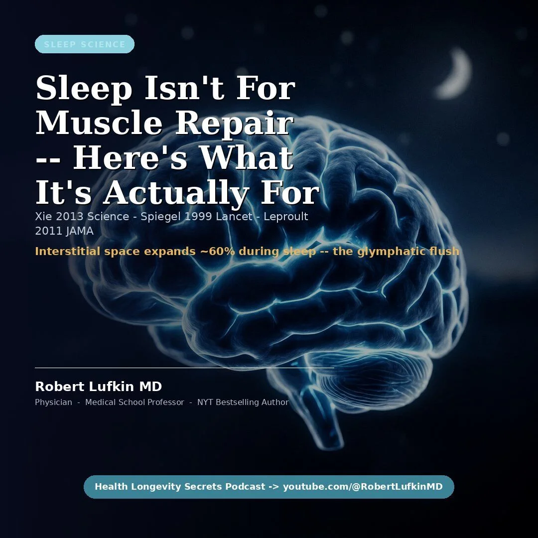 Sleep Doesn't Repair Muscles; mTOR Drops in Deep Sleep