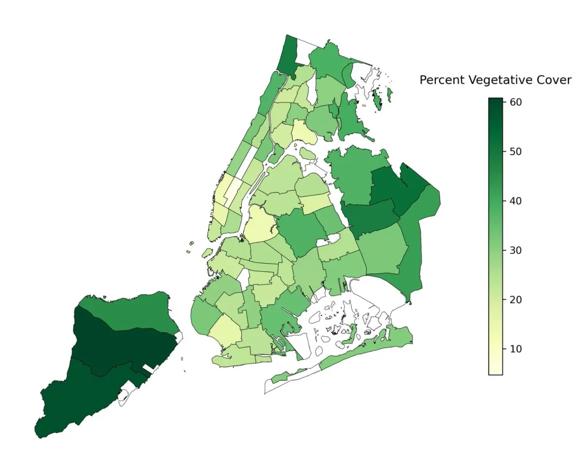 Tree‑less Neighborhoods Face Heat, Asthma, and Inequity