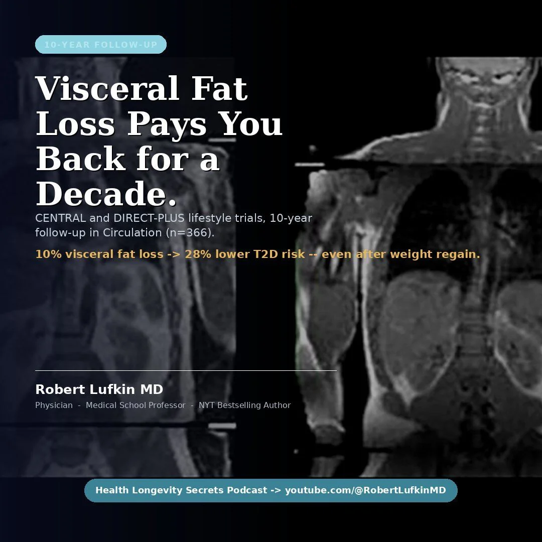 10% Visceral Fat Loss Cuts Diabetes Risk 28%