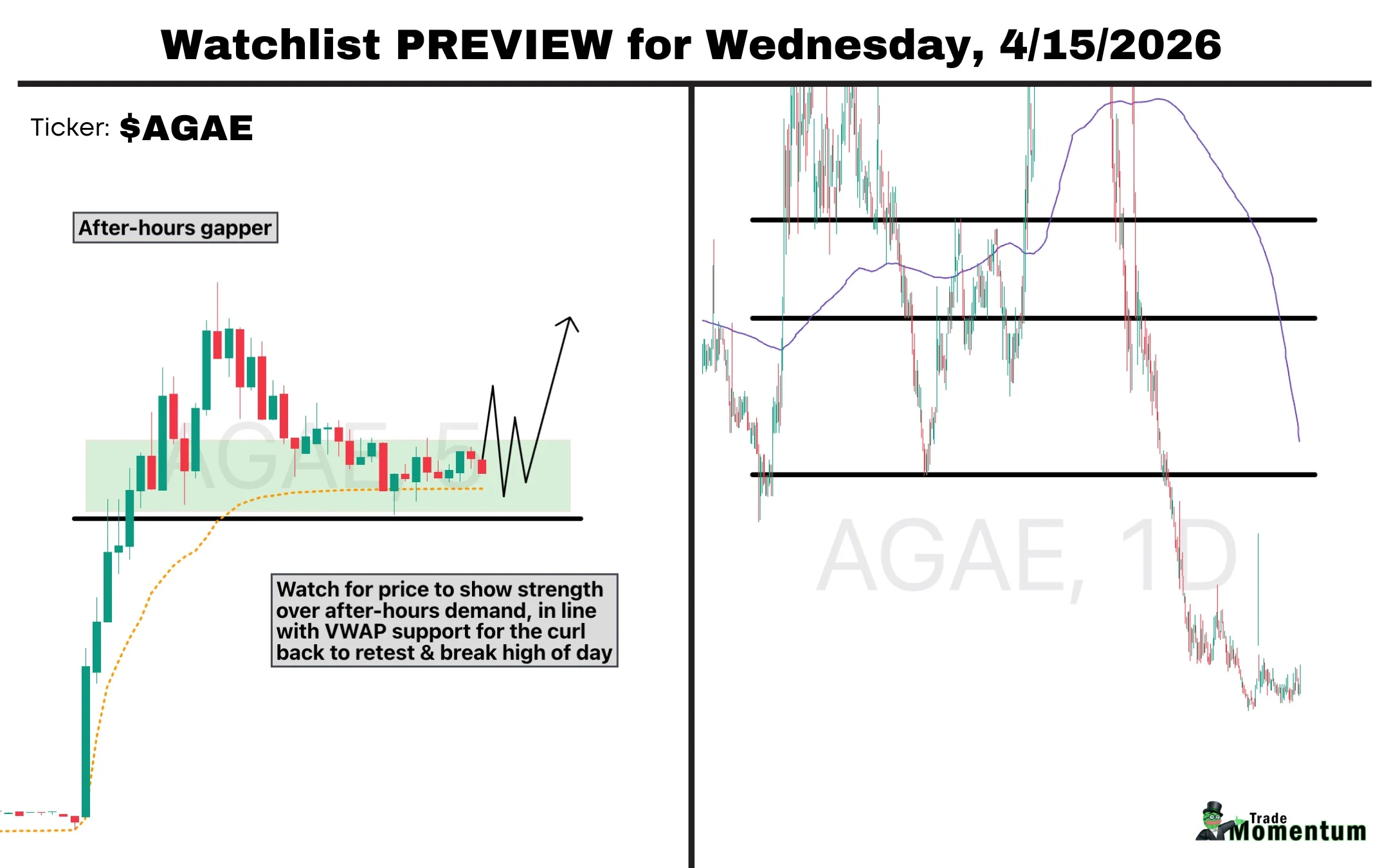 AGAE Settles Litigation, Surges on After‑Hours Volume