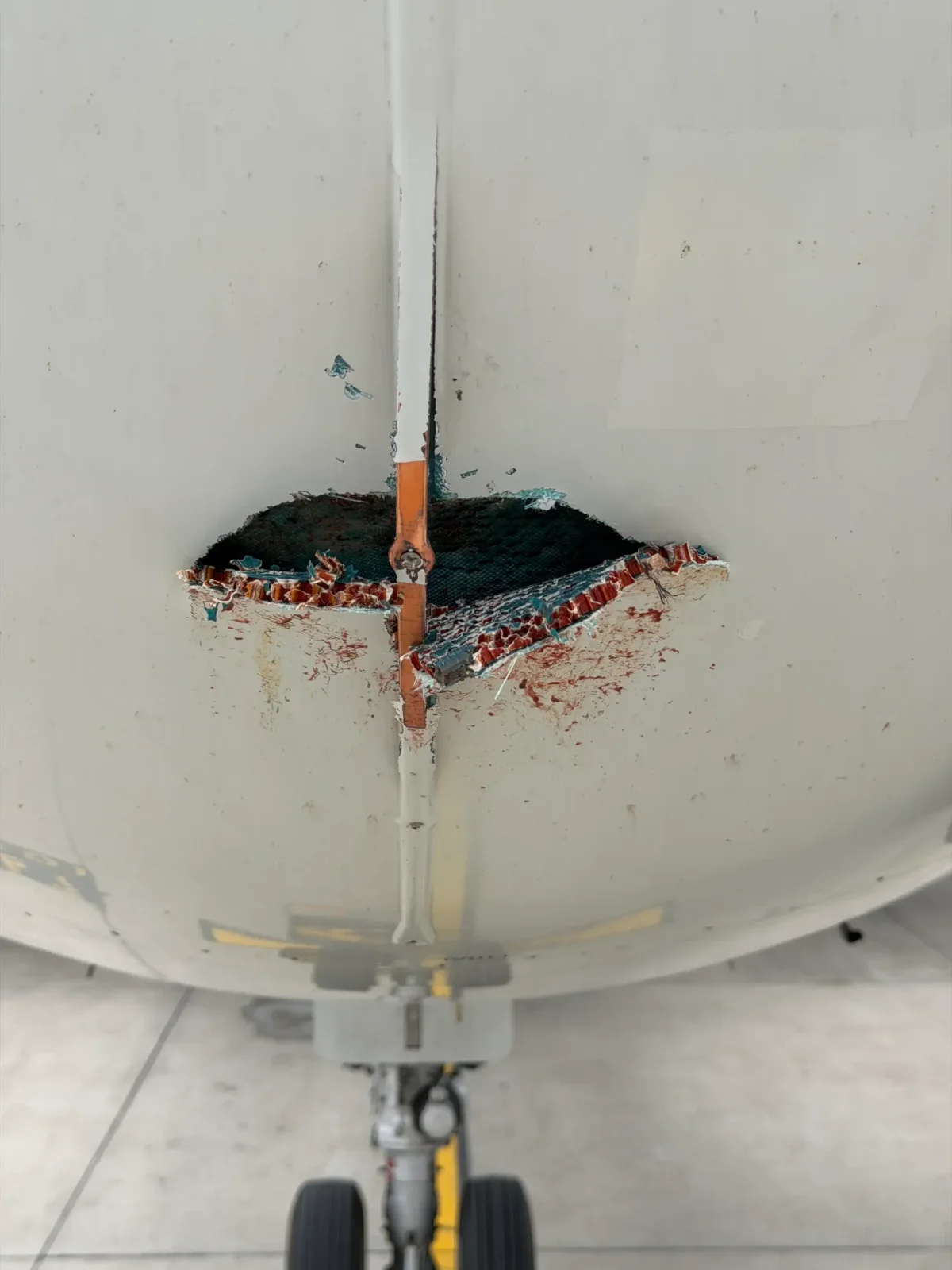 Bird Strike Rips Aircraft Nose, Shreds Skin, Damages Radar