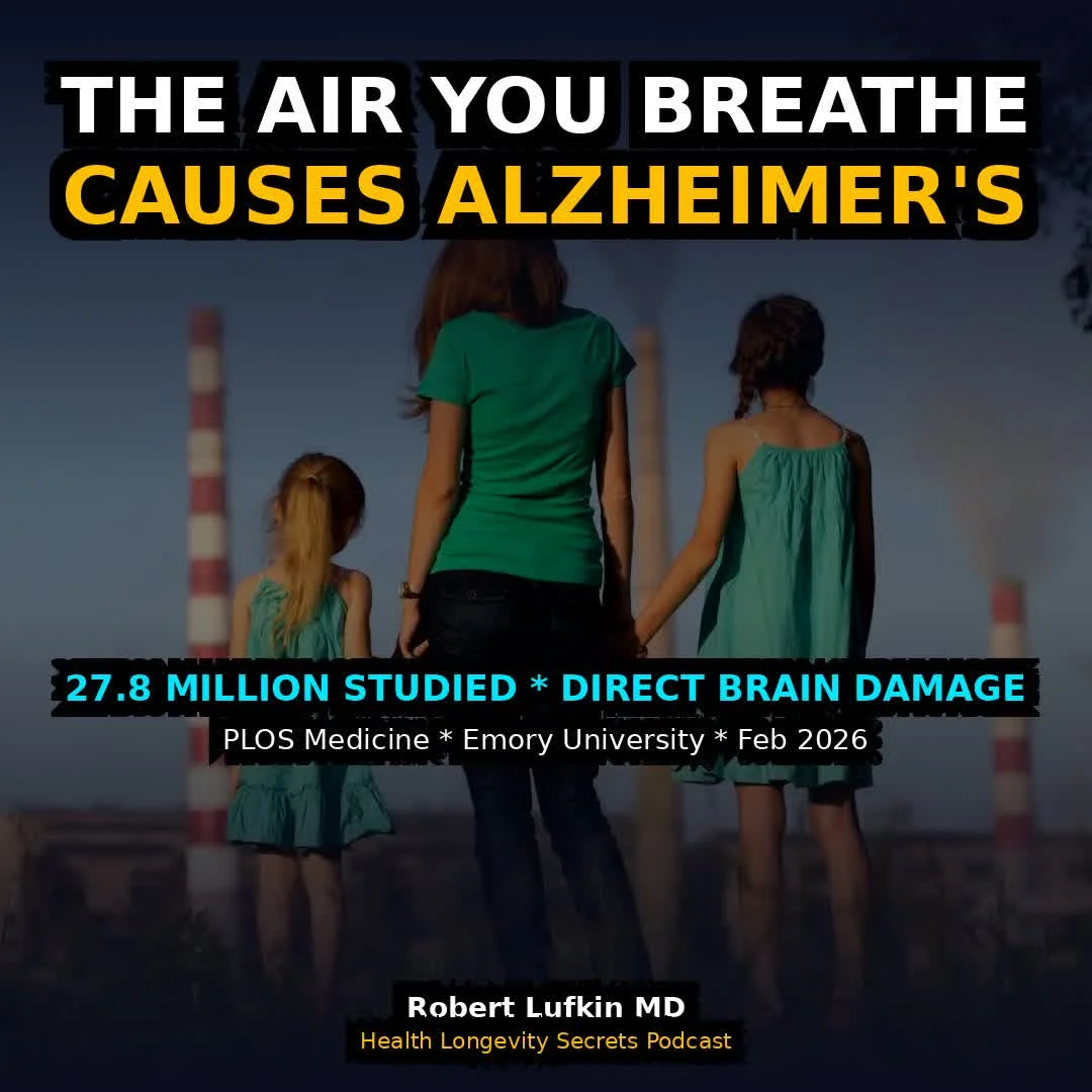 Fine Particulate Air Pollution Raises Alzheimer's Risk