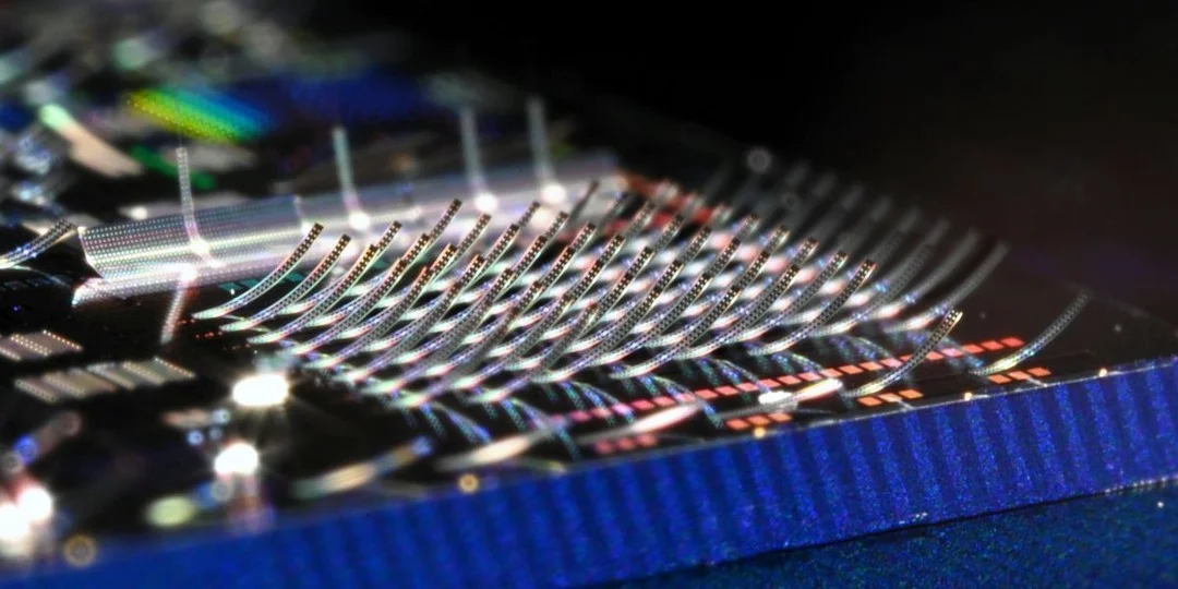Micron‑scale Chip Projects Images Onto Sub‑egg‑cell Area