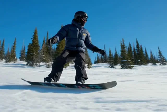 Psilocybin Adds Fresh Snow, Reshapes Old Mental Tracks