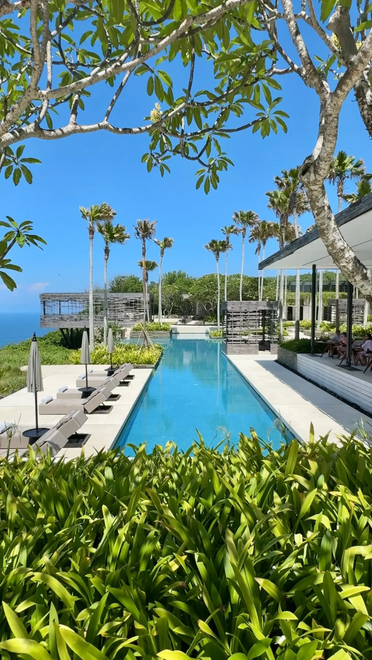 Infinite Horizon: Bali’s Iconic Alila Pool Blurs Sky and Sea