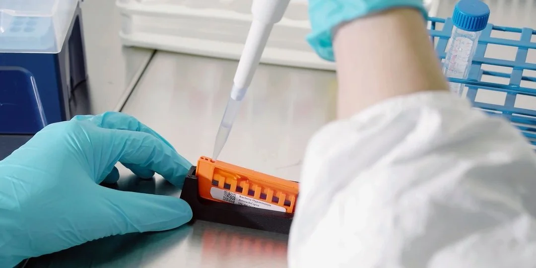 Nanodrum Beats Identify Bacterial Infections by Sound