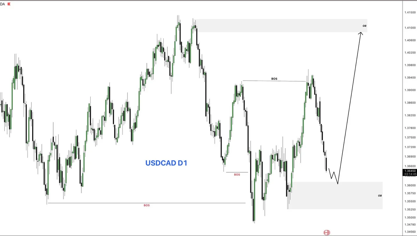 USD Pairs Set for Bullish Swing Trades Tomorrow