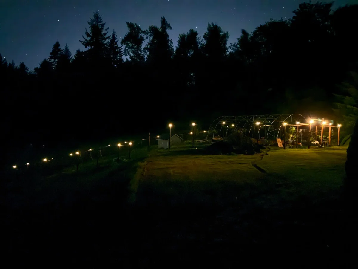 Solar Post Caps Light Up Garden Nights