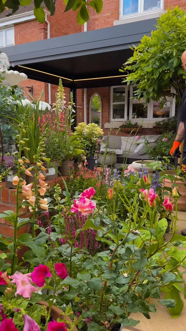 Joyful Garden Border Inspires Pollinators and New Growth